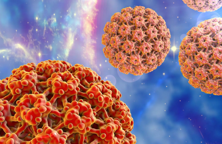 Human papilloma virus
