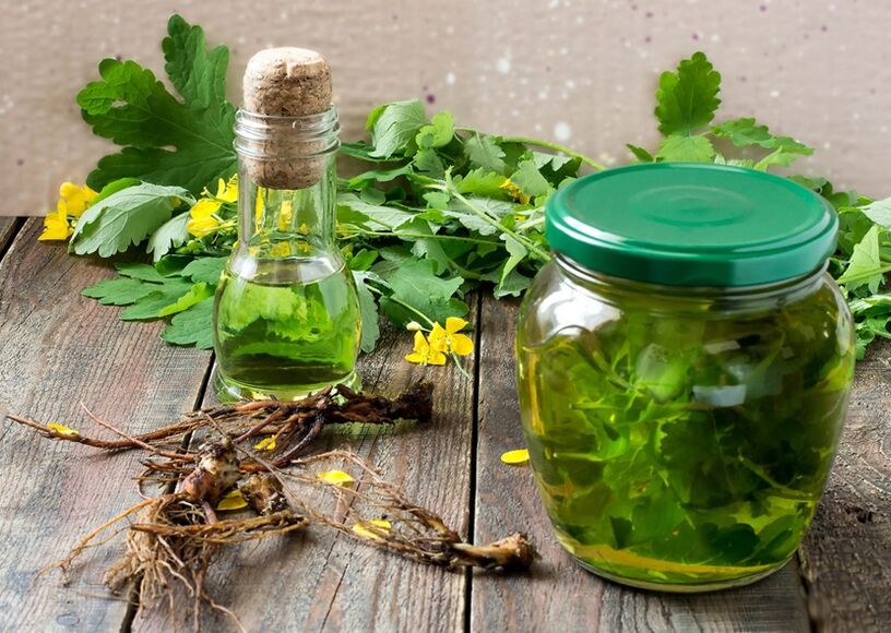 Infusion of celandine to fight papillomas